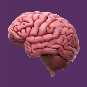 NeuroEducaVerso